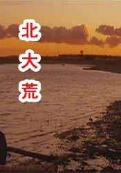 绅士必备黄油单机